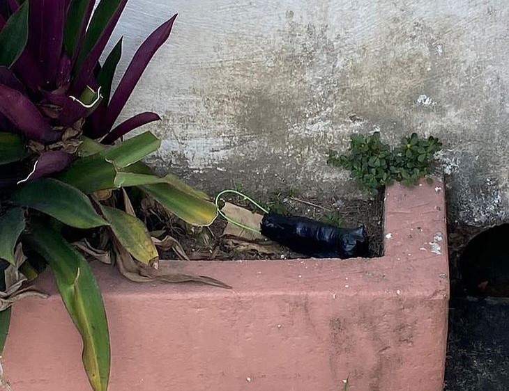 Foto: Reprodução