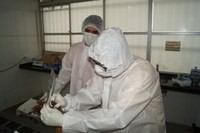 Fotos: Aarão José.