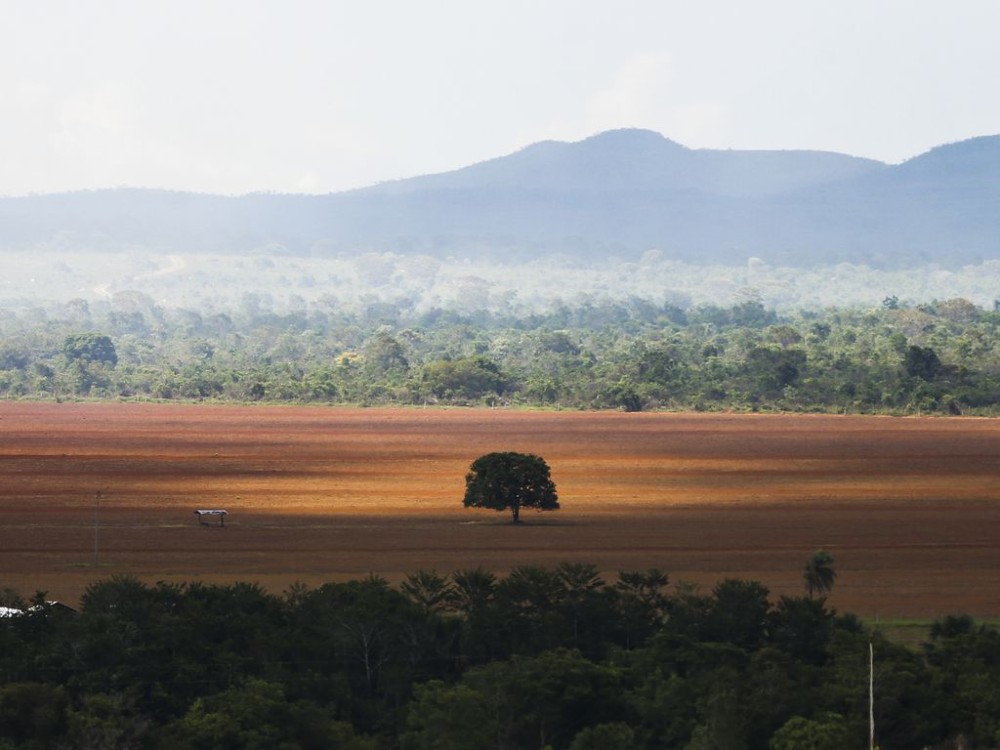 Foto: Marcelo Camargo