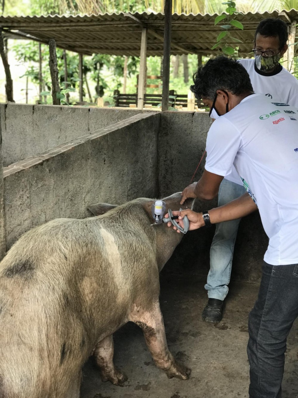 Foto: Dorgvial Junior