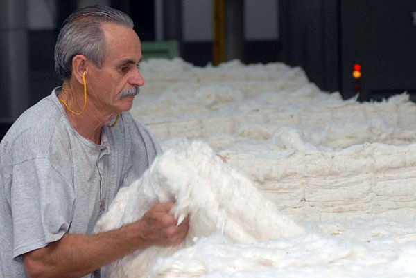 Foto: José Paulo Lacerda