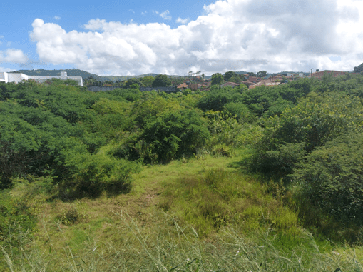 Foto: Ascom Palmeira dos Índios