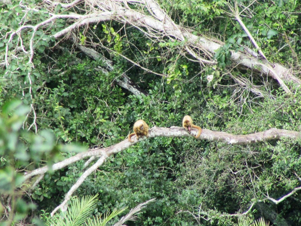 Foto: Epitácio Correia
