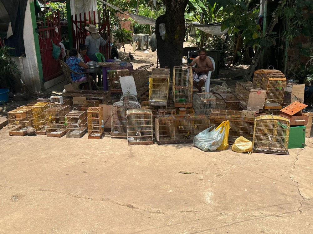 Foto: Agência Alagoas