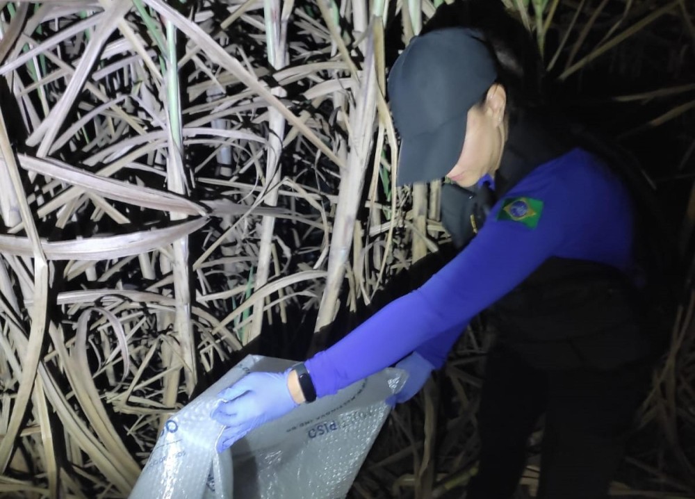 Foto: Ascom Polícia Científica