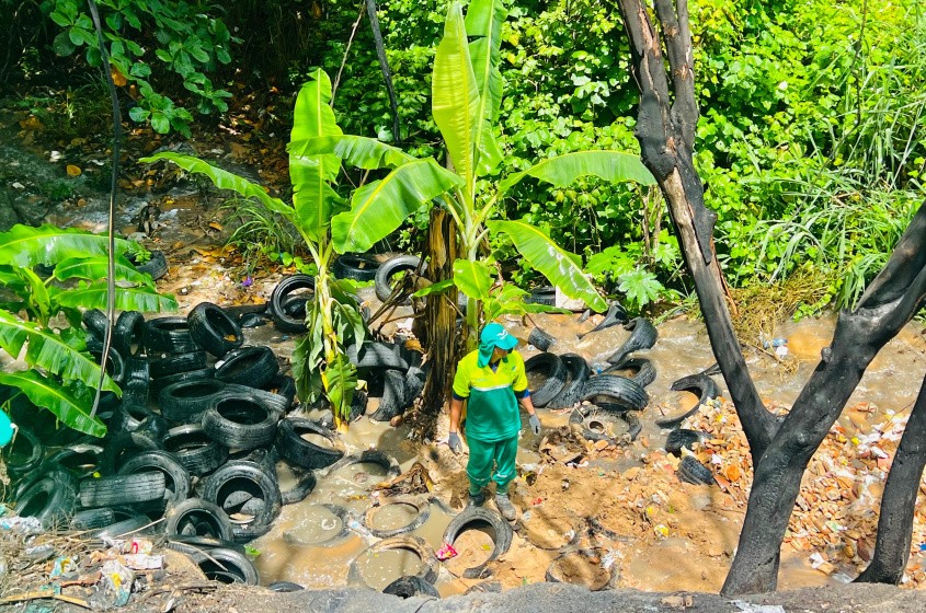 Foto: Crystália Tavares