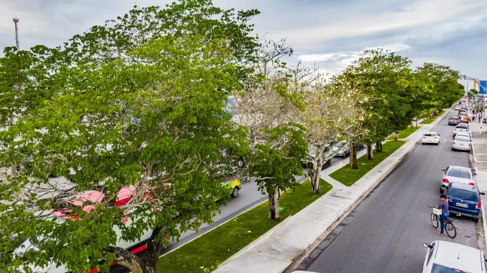 Foto: Pablício Vieira