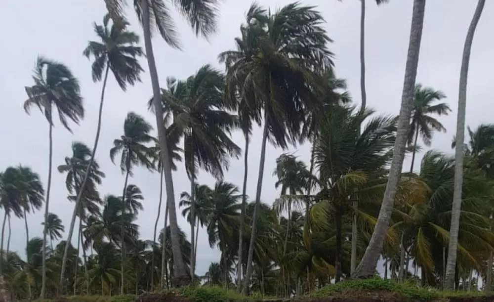Foto: Agência Alagoas