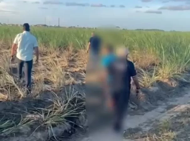 Polícia prende suspeito de feminicídio e ocultação de cadáver em São Miguel dos Campos