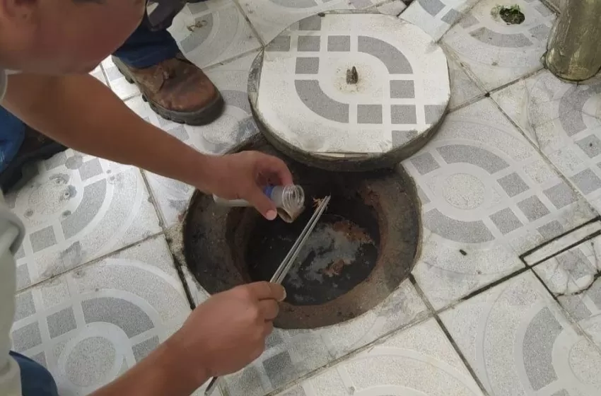 Saúde orienta sobre prevenção e atendimento de picadas de escorpião em Maceió