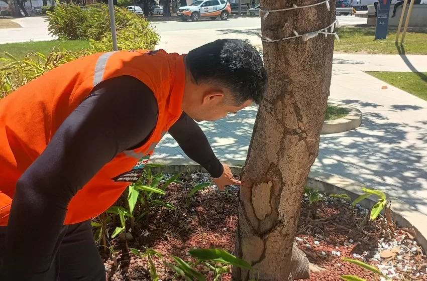 Foto: Luís Eduardo Ramalho