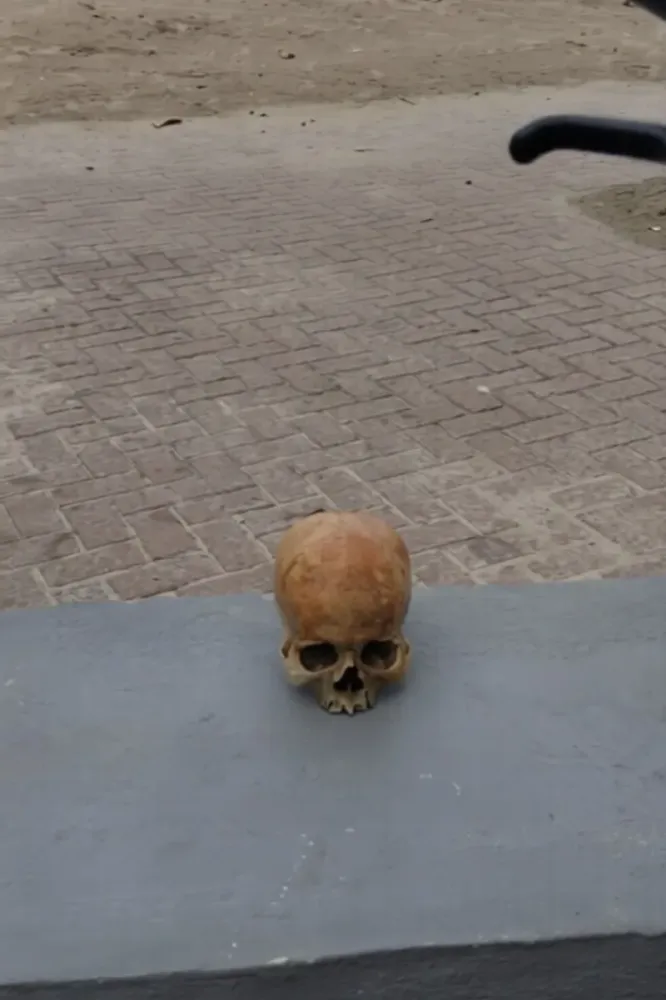 Crânio humano é localizado no mar de Pajuçara, em Maceió