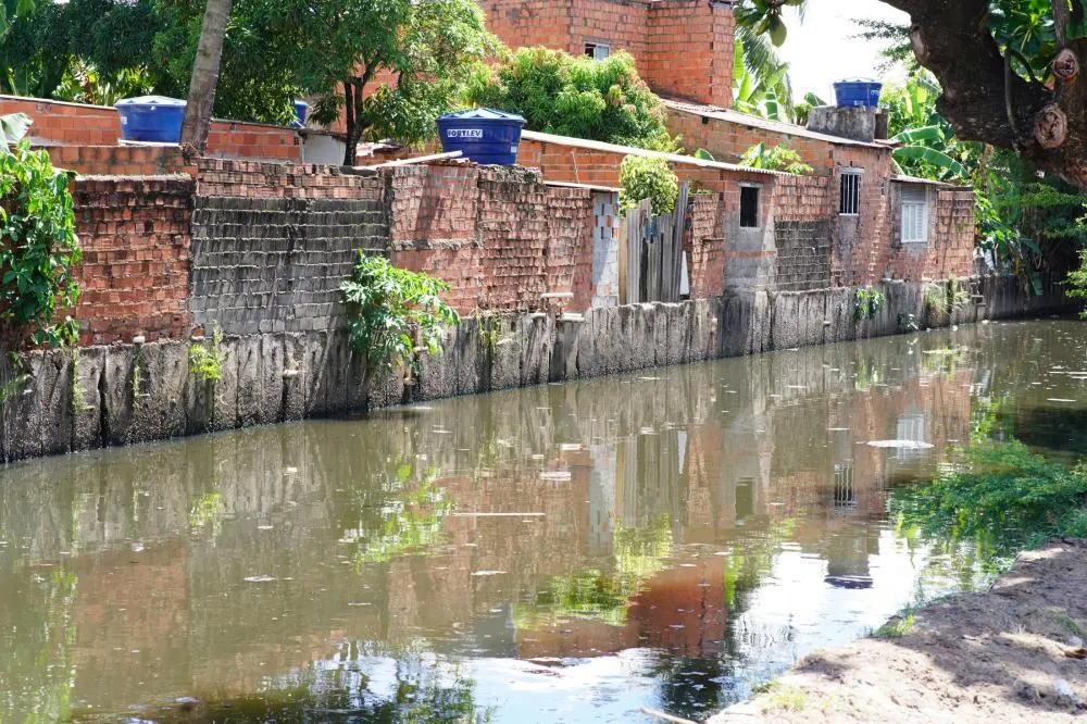 Saiba os cuidados para evitar a leptospirose durante o período de chuvas