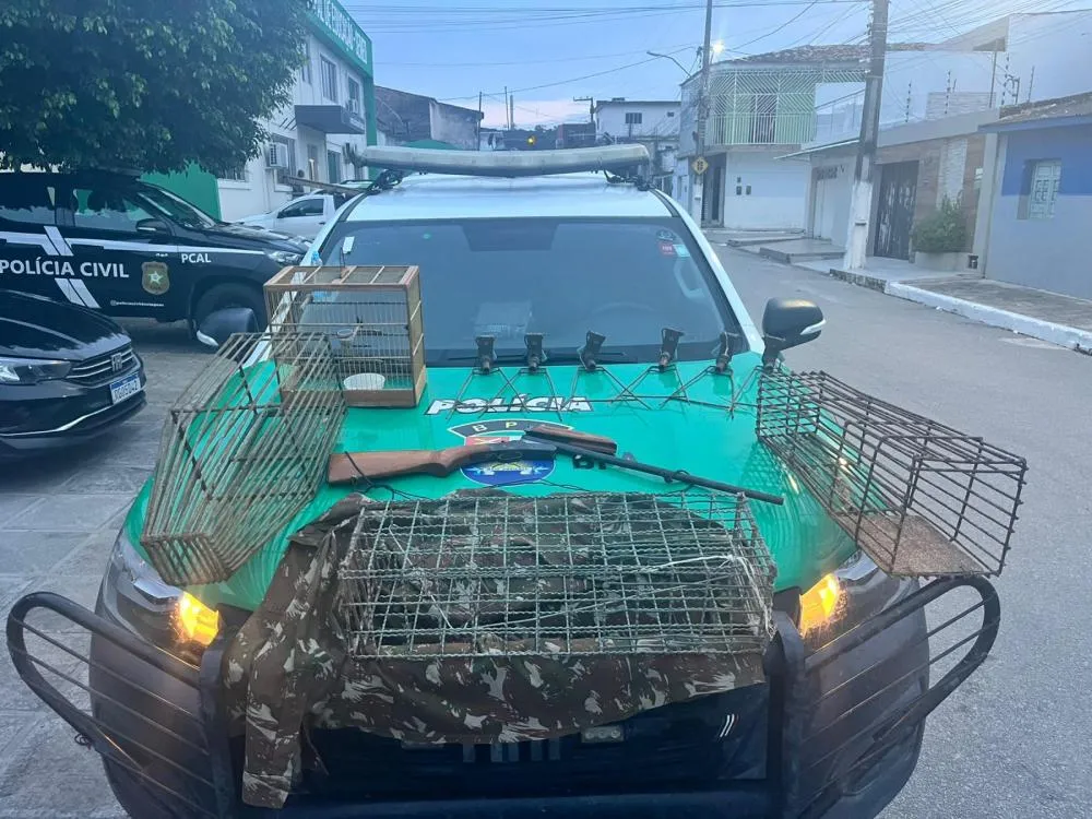 Polícia apreende arma de fogo, animais silvestres e realiza soltura