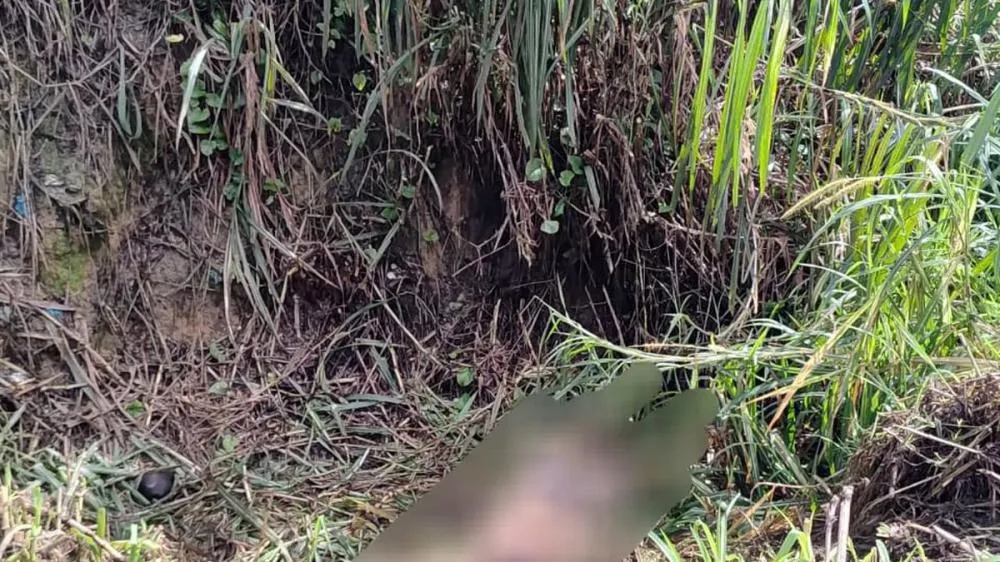 Corpo de homem é localizado em vala com cerca de 40 perfurações
