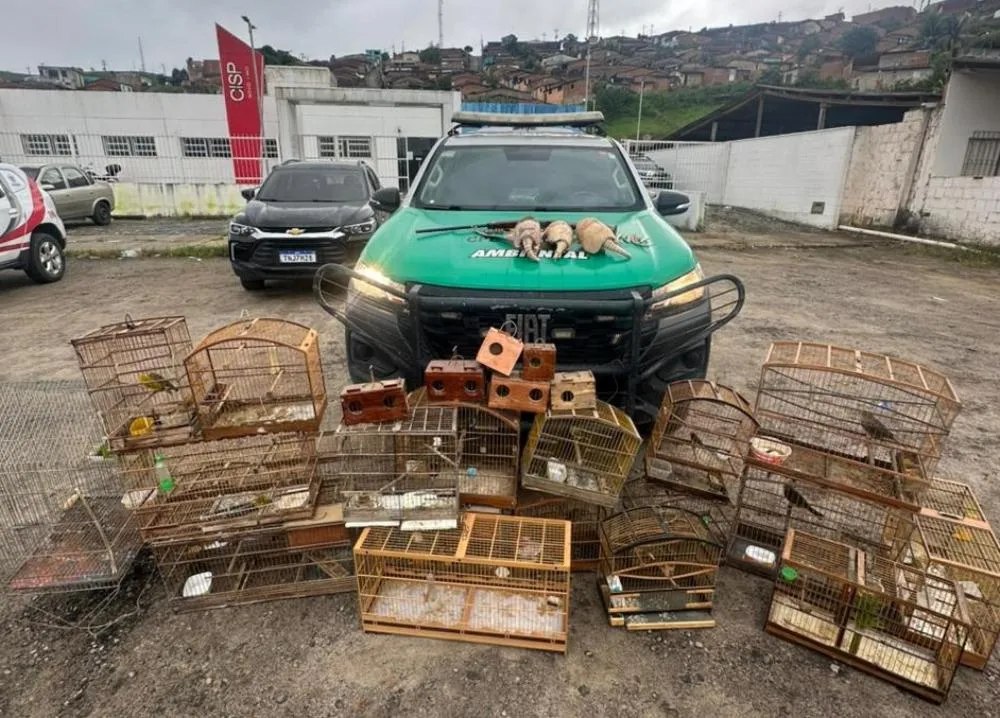 Operação recolhe arma de fogo e mais de 30 animais silvestres na Zona da Mata