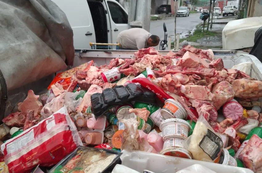 Mais de 800kg de alimentos estragados são retirados de estabelecimentos no Vergel