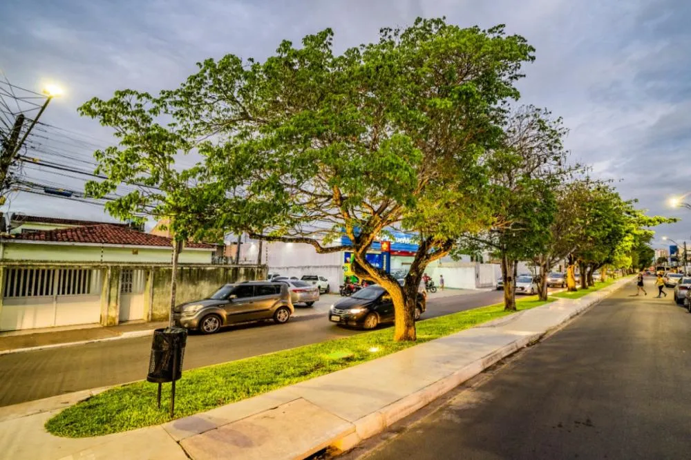 Foto: Ascom Arapiraca