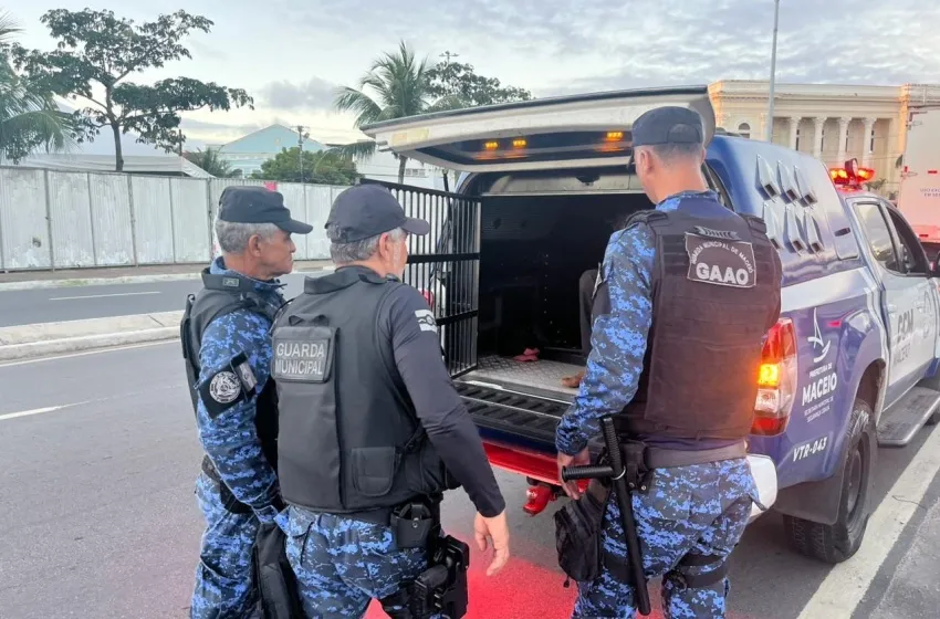 Guarda Civil Municipal prende suspeito de furto de cabos de iluminação no Jaraguá