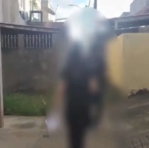Polícia prende integrantes de organização criminosa interestadual investigada por furtos