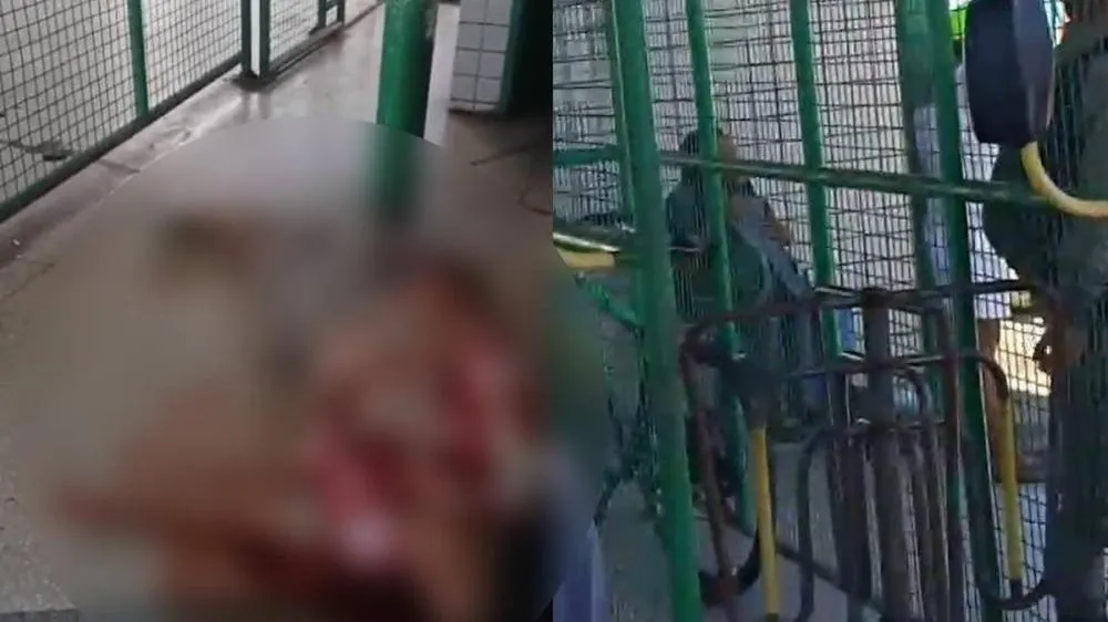 Presa idosa que tentou matar mulher em terminal de ônibus no Benedito Bentes