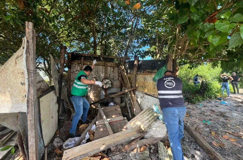 Prefeitura apreende drogas e remove barracos irregulares no Vergel do Lago