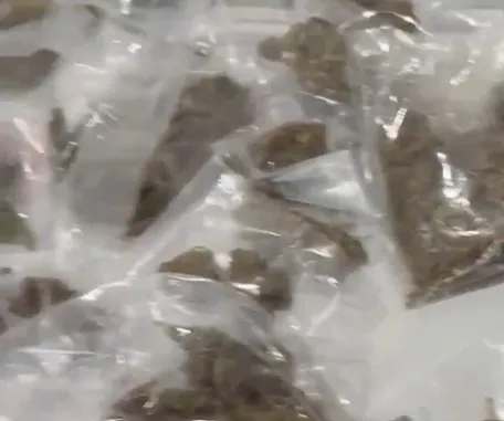 Polícia deflagra nova fase de operação e prende suspeito por tráfico em Arapiraca