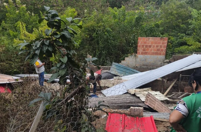 Ação desativa pocilga clandestina no São Jorge