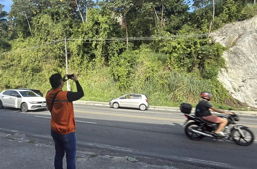 Defesa Civil de Maceió recomenda retirada de árvores em áreas de risco