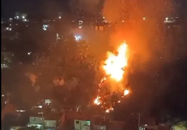 Incêndio atinge região de mata em encosta no Vale do Reginaldo, em Maceio