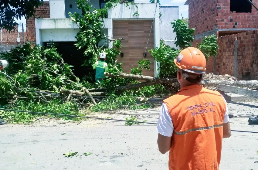 Fortes ventos provocam danos em estruturas de Maceió