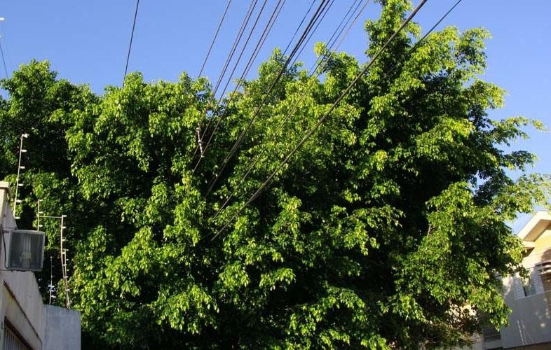Foto: Ascom Equatorial Alagoas