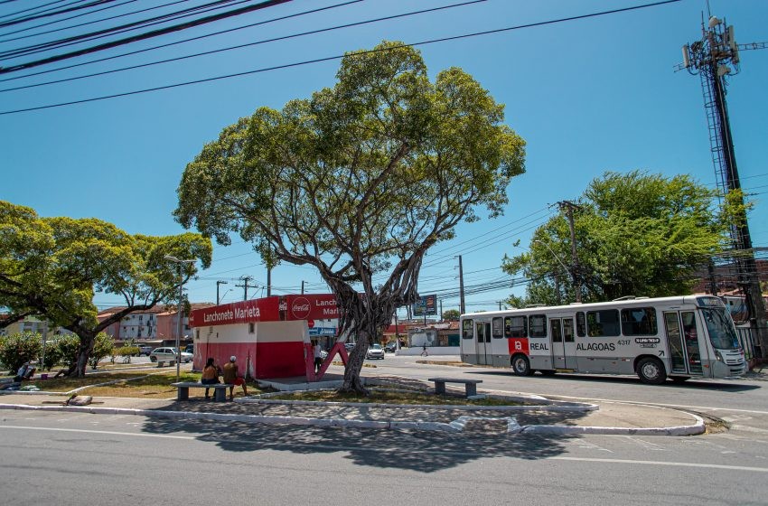 Foto: Célio Júnior
