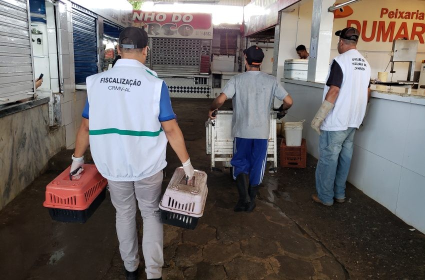 Foto: Tatiane Gomes | Ascom Semtabes