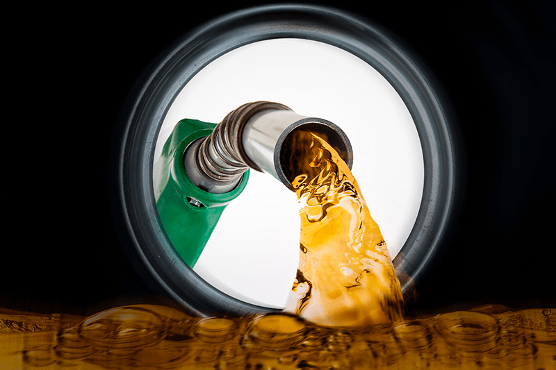 Foto: Shutterstock