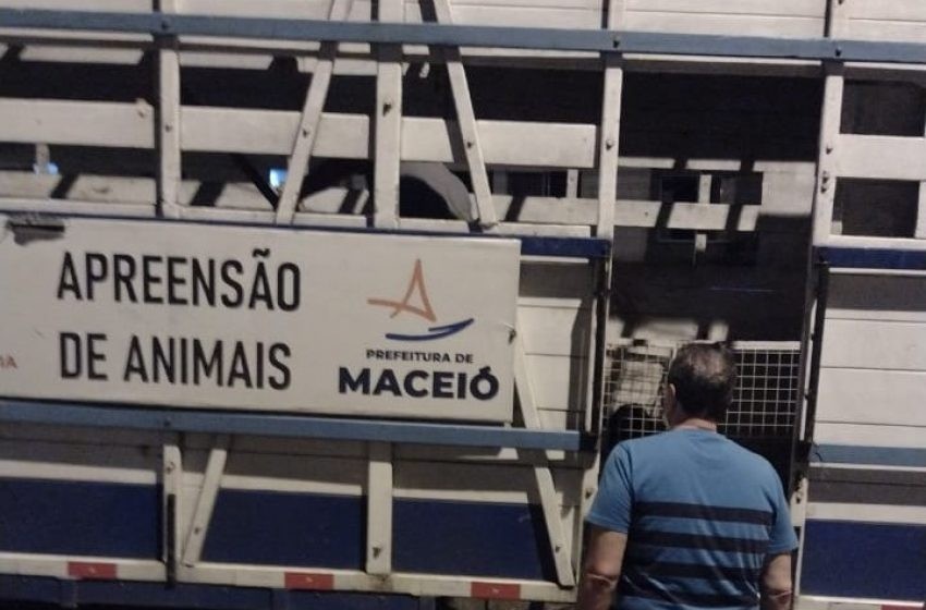 Foto: UVZ Maceió