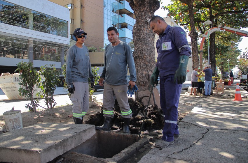 Foto: Júnior Bertoldo
