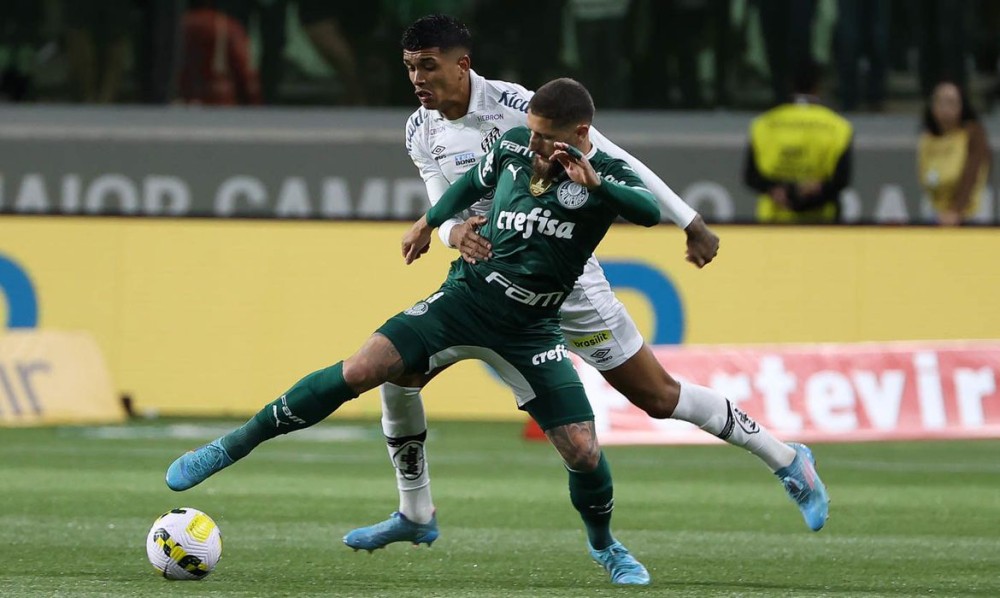 Cesar Greco/ Palmeiras